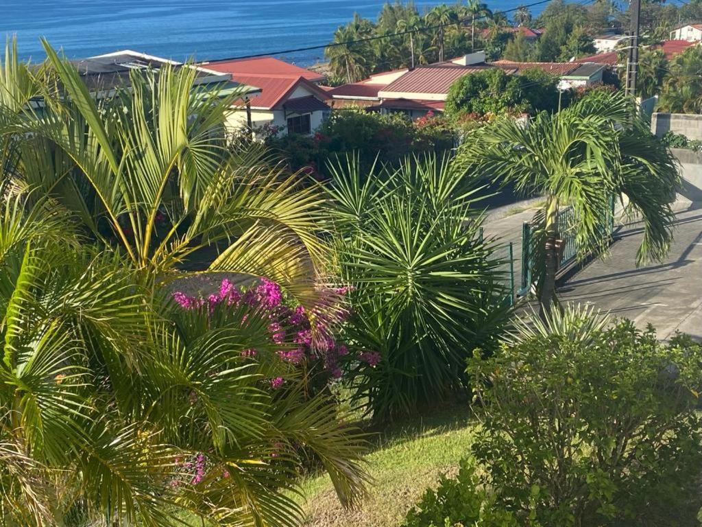 Les Hibiscus Daire Sainte-Luce Dış mekan fotoğraf